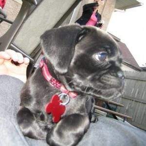 Meet your Posher, Lee